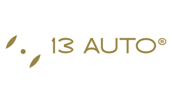 13 Auto, peças e acessórios